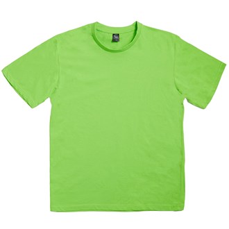 T190LIME
