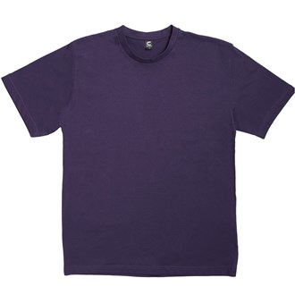 T190PURPLE
